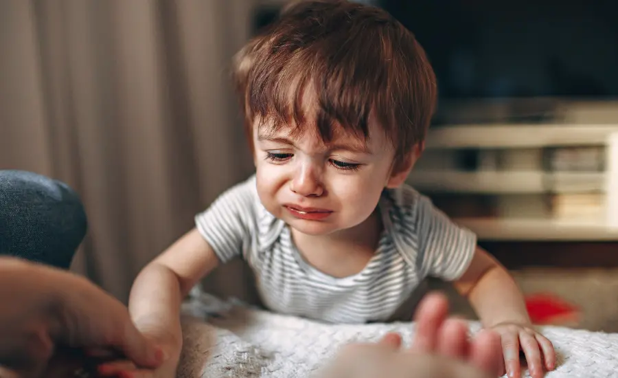 Bebe llorando vinculo apego infancia temprana