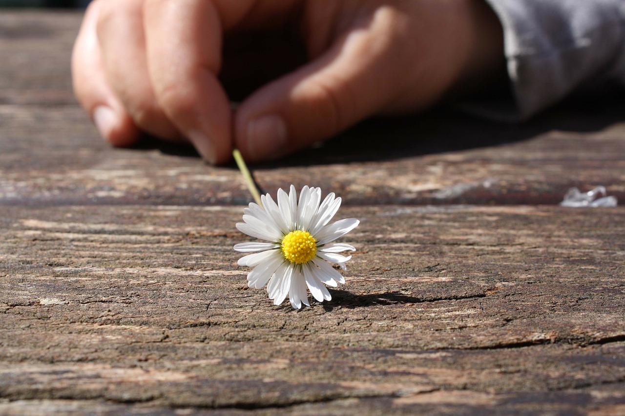 ¿Cómo el coaching ejecutivo me ayuda a crecer?