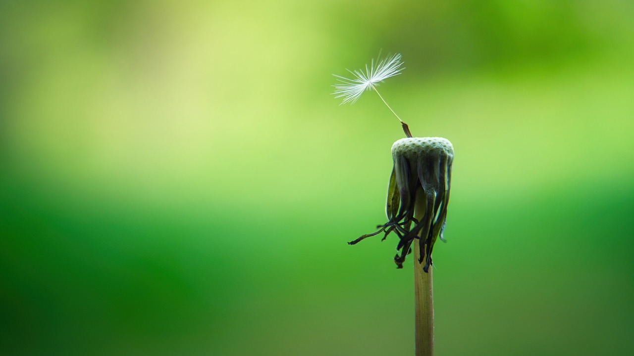 ¿Cómo te ayuda el mindfulness a ser tu mejor versión?